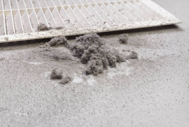 Best Affordable HVAC Duct Cleaning  in Shannondale, WV